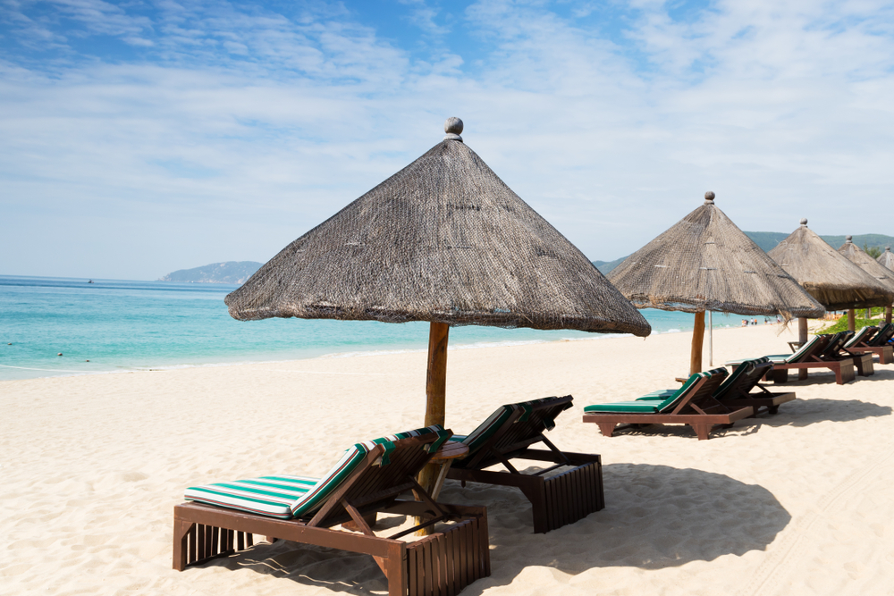 Тропический китай