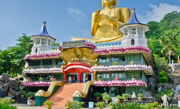 До конца мая россияне могут получить бесплатные туристические визы на Шри-Ланку.