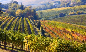 Получить визу в Италию стало проще, если у вас есть приглашение от родственников