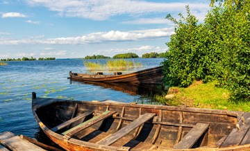Рыба моей мечты
